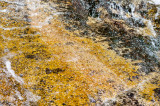 Studená Dolina, Tatra NP