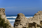 DSC_7040-1.jpg