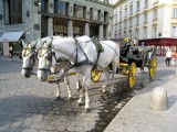 262 Michaelerplatz.JPG