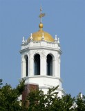 644 Near Harvard Square.jpg