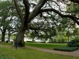 500 Savannah 360 Washington Square.jpg