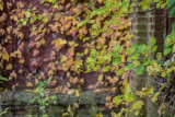 _DSC4803.jpg