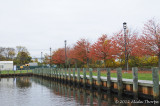 Patchogue River