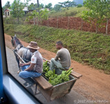 rural cart