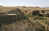 Landscape near Cortez 8