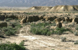 Landscape near Cortez 3