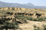 Landscape near Cortez 1