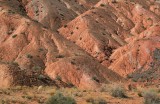 Red Sand Dunes 1