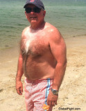 polarbear daddie ocean beach swimming.jpg