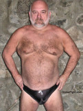 bearish daddy bears hairybelly.jpg