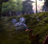 Smoke