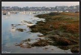 Ploumanac'h. Low Tide.