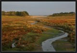 Quillimadec. Early morning light on Moor.
