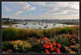 Ploumanac'h - The harbour.