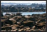 The Coast of Legends. (Meneham).