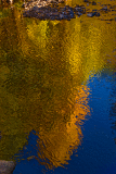 Autumn Reflections