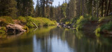 Serene...