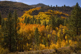 Lundy Creek Colors