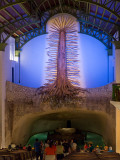 20130319_Xcaret_0385.jpg