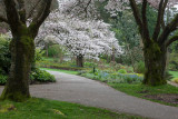 20130409_Stanley Park_0080.jpg
