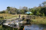 Motor boats offer more viewing options on the delta