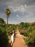 Jardín Botánico La Concepción