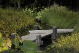 Un coin nature du Jardin japonais