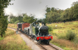 5542 at Leigh Wood.