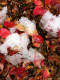 ISU School of Engineering Autumn Snow Scene IMG_4695.jpg