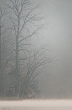 www.mikelentzphotography.com