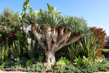 19_Venice, Ca.jpg