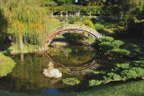 36_Huntington Library.jpg