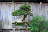 39_Huntington Library.jpg