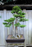 40_Huntington Library.jpg
