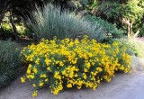 41_Huntington Library.jpg