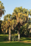 43_Huntington Library.jpg