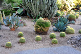 47_Huntington Library.jpg