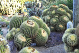 48_Huntington Library.jpg