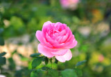 51_Huntington Library.jpg