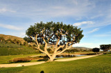 68_Malibu_Pepperdine U.jpg