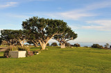 69_Malibu_Pepperdine U.jpg