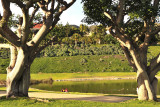 70_Malibu_Pepperdine U.jpg