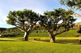 71_Malibu_Pepperdine U.jpg