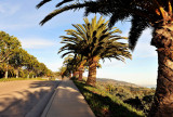 74_Malibu_Pepperdine U.jpg