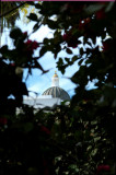 Capital Dome