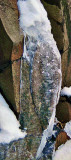 Winter Gem