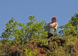 20090212 CR # 1 001 Coffee Picker.jpg