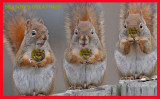20071031 244 THE CAROLERS.jpg