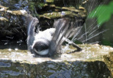 2010 05 20_st-etienne_0104--bain-1200.jpg