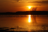 IMG_0024_coucher de soleil-900.jpg
